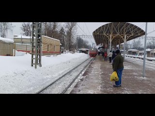 Клязьма 11:40. Пёс бежал перед поездом от Мамонтовки до Тарасовки.