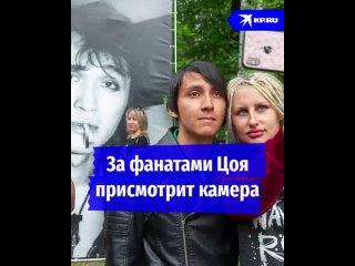 За фанатами Цоя присмотрит камера