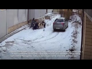 В Карачево-Черкесии огромный алабай напал на женщину и едва не растерзал ее Муклимат, как обычно, шла к племяннице, но вдруг