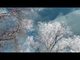Инна Разумихина - Снеги белые (Россия)