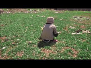 Pequena Palestina, Dirio De Um Cerco (2021) Lbano-Catar-Frana - Abdallah Al-Khatib - 1h29min - Documentrio - Legendado Pt-Br