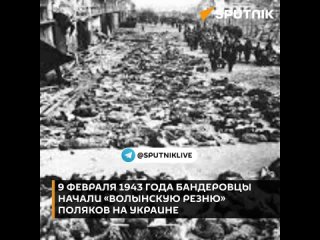 9 февраля 1943 года украинские националисты совершили первое массовое убийство мирных поляков