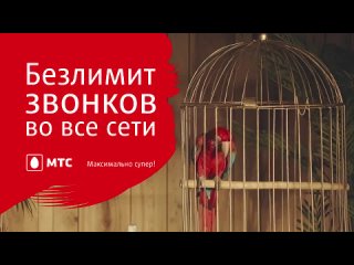 Реклама МТС (Беларусь, 2019) (14234)
