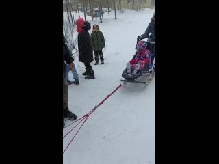 Видео от Элина и Сибирские хаски STAIKALIVE