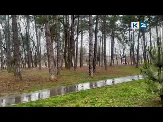 Весенняя непогода накрыла Кубань: в крае дожди, грозы и сильный ветер