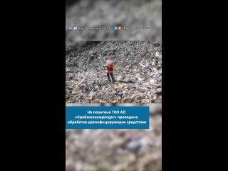 Видео от ДТП | ЧП | Белореченск | новости | сегодня