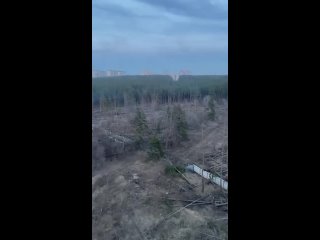 Неизвестный мужчина пытался спалить Северный лес в ВоронежеМестные обратили внимание, что поджигатель пробрался на охраняемую