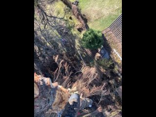 Видео от Спил деревьев (СПБ и ЛО) 89502222409