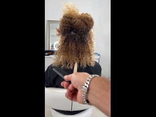 Love haircut - Fix a Bad Hair： Curly Bob Haircut  Hairstyle for Women ｜ Curly Hair Cutting Techniques
