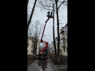 Аварийные деревья спилили в Тучково