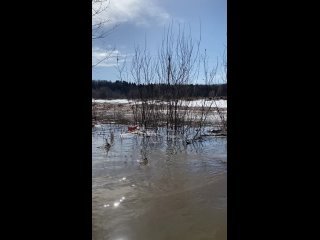 Видео от “Речные Котики“ Клуб активного отдыха на природе