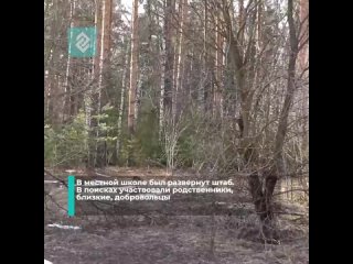 Через 8 часов поисков полицейские и волонтеры нашли живым в лесах Гусь-Хрустального 8-летнего мальчика