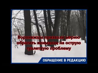 Воронежцы призвали мэрию обратить внимание на острую туалетную проблему