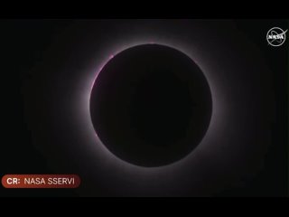 First look at the total solar eclipse from Mazatln, Mexico. -