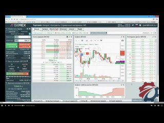 BitMex VIDTAG#