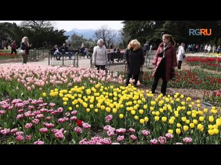 Парад тюльпанов стартовал в Никитском ботаническом саду Ялты