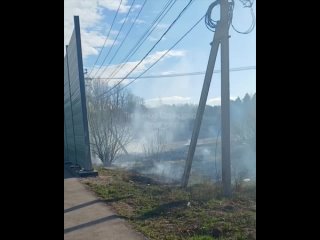 В Дарьино неизвестные подожгли поле

«За храмом Никола