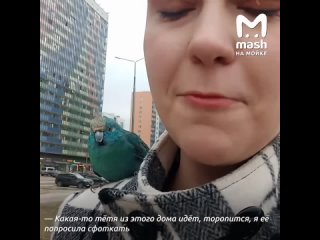 Спасение попугайчика произошло на Воронцовском бульваре — жительница Мурино повстречала пернатого посреди улицы и вернулась домо