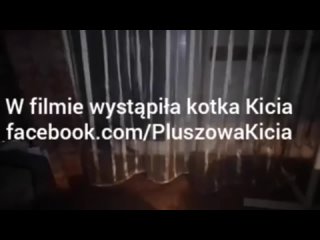 🎦 1169. dzień pobytu Kici u mnie 28 października 2020 roku - nowa wersja 16:9 HD 720p