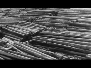 Видео от Лучи миссии в Таро Иссэт