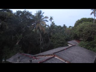 Райский остров Шри-Ланка, город Хиккадува, отельThai Lanka, 6 утра, 2024 ))))) видео 36