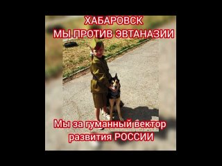 Хабаровск против массового убийства животных