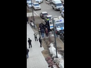 Политика, Фото, Видео, Юморtan video