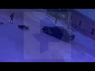 Агрессивная собака напала на трех школьников в Иркутске