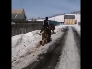 Сын-воина из Башкортостана стал очень популярным в сети, второе видео