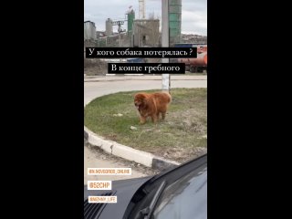 Видео от Нижний Новгород LIVE