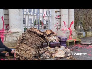 French farmers dump guts, manure and waste in front of the Agen prefecture