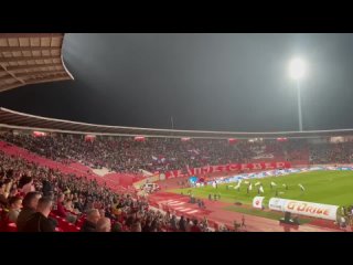 Сербы спели «Катюшу» в знак поддержки России на матче между сербской «Црвеной звездой» и петербургским «Зенитом»