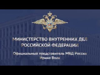 Комментарий официального представителя МВД России Ирины Волк о том, что в Пензенской области полицейские задержали подозревае