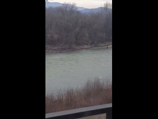 Редкое видео успешного побега заложника киевского режима из Украины в Румынию вплавь через реку Тиса