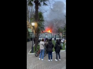 В сочинском парке «Ривьера» произошел пожар.