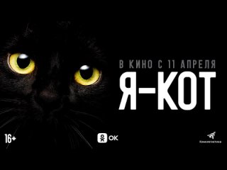 Я - кот - трейлер 2024