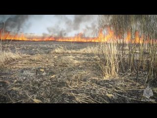 За прошедшие сутки на территории Луганской Народной Республики зарегистрировано 39 техногенных пожаров и 18 возгораний произошло