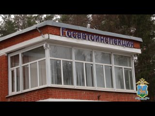 В Псковской области сотрудники полиции своевременно сопроводили роженицу в перинатальный центр
