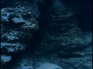 Relic Hunter S03 E05 Treasure Island (2001) Movie