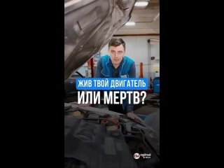 Как быстро проверить двигатель автомобиля