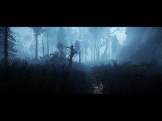 Land of Pain Forest Rain