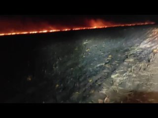 🔥Кукурузное поле загорелось в Эртильском районе

Подробности возгорания неизвестны.