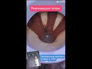 Видео от Гринвей Надежда Апатиты (в наличии и под заказ)