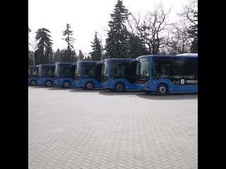 Уже скоро эти 19 новеньких автобусов выйдут в первые рейсы