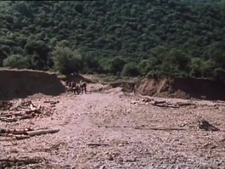 Фрагмент фильма БЕРЕГА.Хлысты. 2 СЕРИЯ (Грузия-фильм,1977 г.) (1).mp4