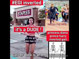 Принцесса Диана бегает как мужчина - перевертыши elite gender inversion EGI #EGI