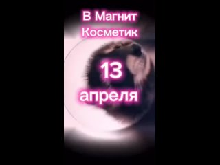 Видео от Магнит Косметик,Боровичи, ул.Красноармейская д.5