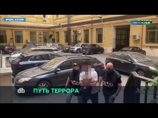 О связи Украины с террористическими движениями