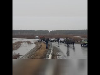 Дорогу на подъезде к селу Звериноголовское в Курганской области подтопило паводком