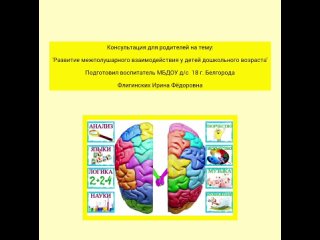 Развитие межполушарного взаимодействия у детей дошкольного возраста